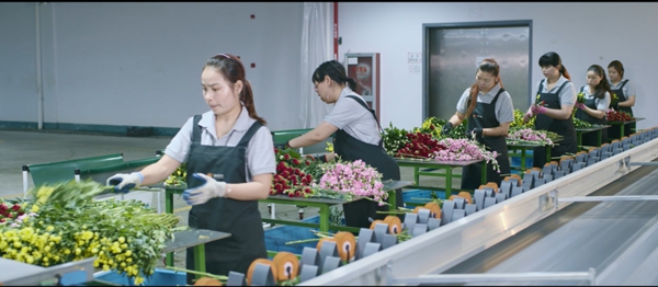 凯时娱乐·(中国)最新官方网站