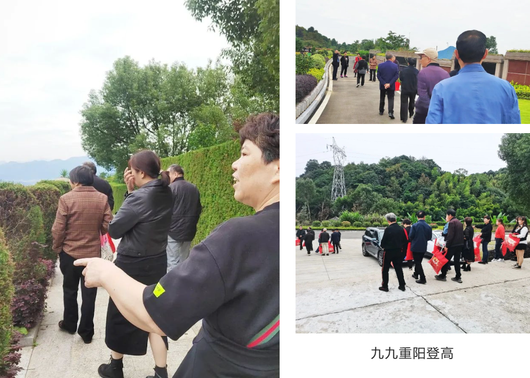 凯时娱乐·(中国)最新官方网站
