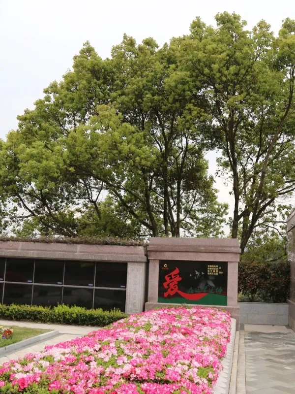 凯时娱乐·(中国)最新官方网站
