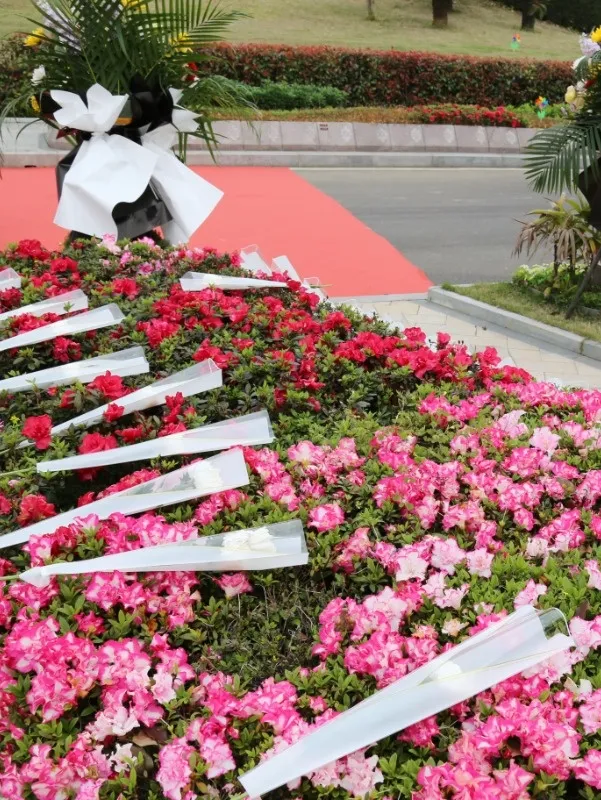 凯时娱乐·(中国)最新官方网站