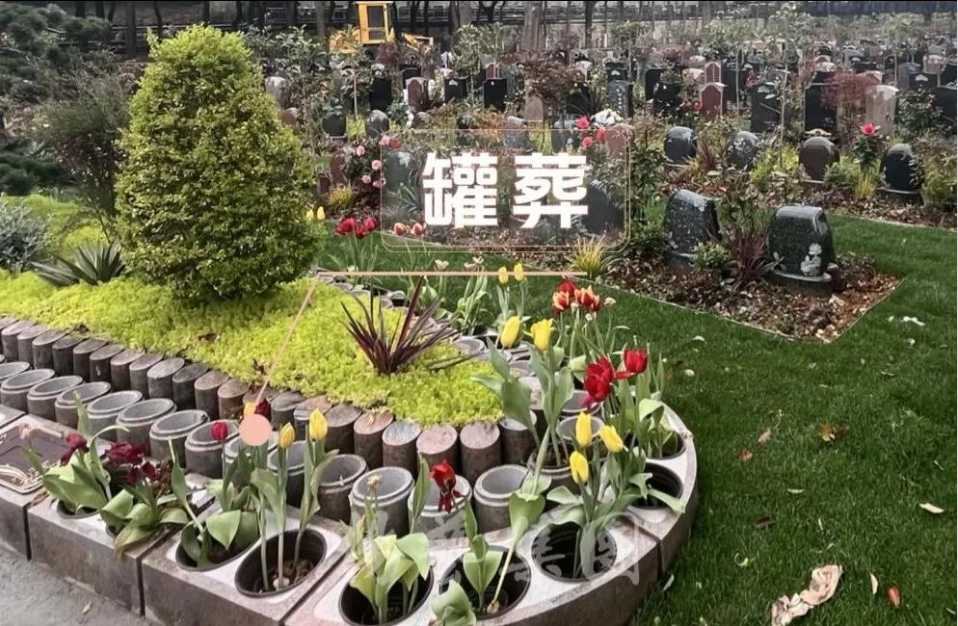 凯时娱乐·(中国)最新官方网站